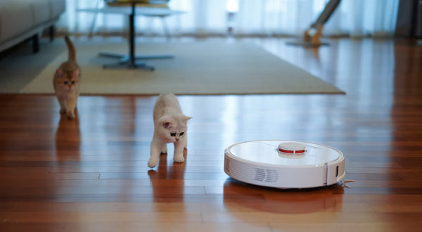 Are iRobot Roombas Worth It?