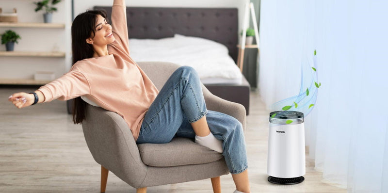 Can Air Purifier Help with Seasonal/Pollen Allergies?