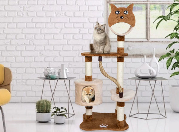 Cat Activity Tree