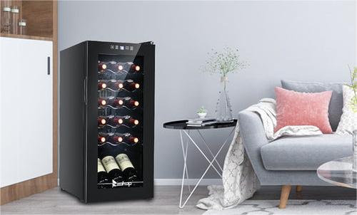 Preserve and Elevate Your Wine Collection