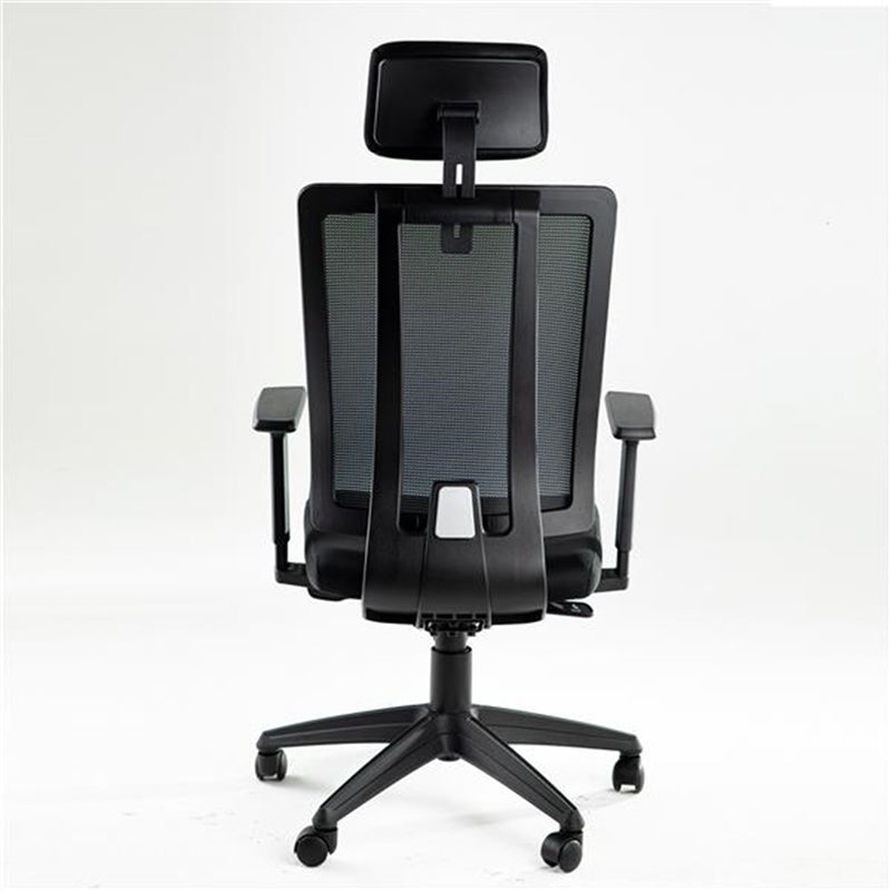 ALICIAN Home Office Desk Chairs High Ergonomic Chair Black